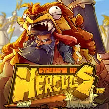 HS image