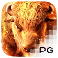 PG image